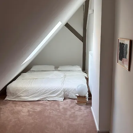 Design In Hinterhof-remise 莱比锡