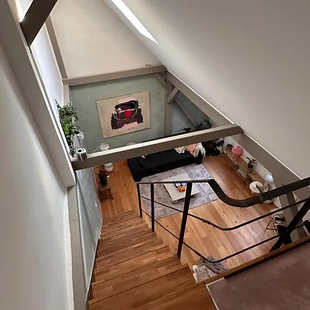 Design In Hinterhof-remise