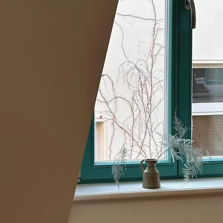 Design In Hinterhof-remise