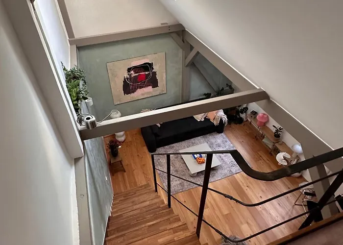 Design In Hinterhof-remise