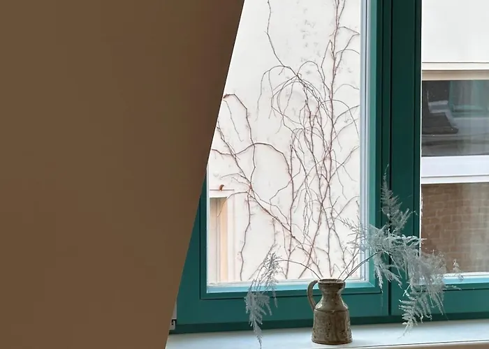 Design In Hinterhof-remise